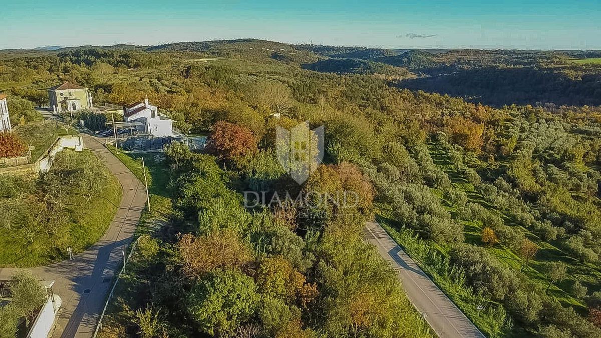 Buje, čudovita parcela velikosti 903 m2 s pogledom na morje! 