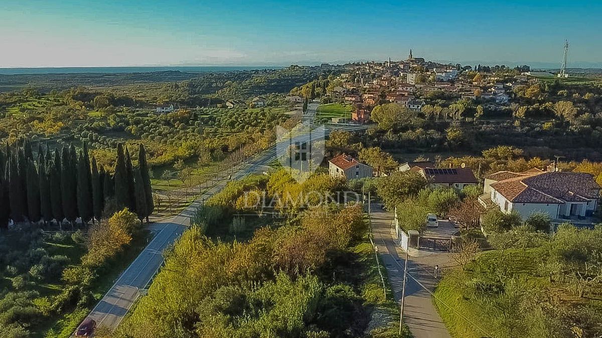 Buje, čudovita parcela velikosti 903 m2 s pogledom na morje! 