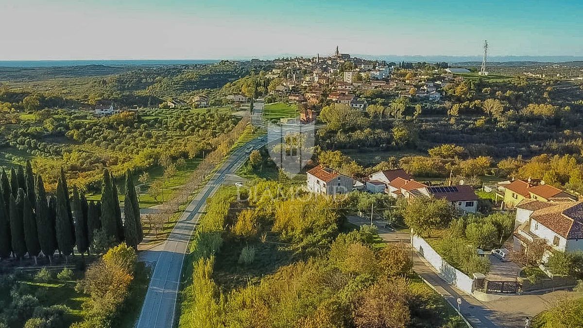 Buje, čudovita parcela velikosti 903 m2 s pogledom na morje! 