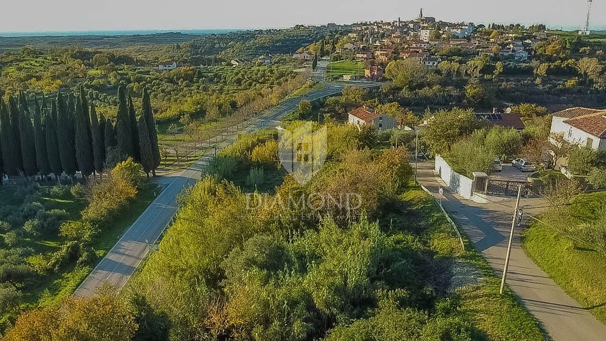 Buje, čudovita parcela velikosti 903 m2 s pogledom na morje! 