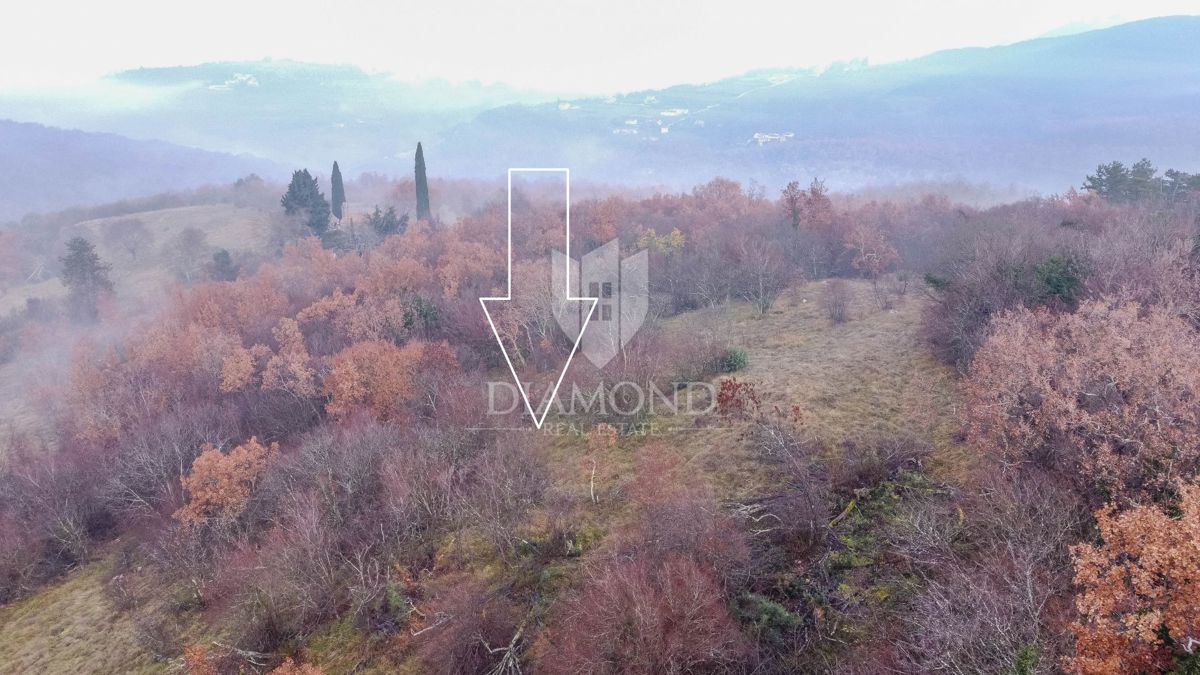 Motovun, gozd na mirni lokaciji!