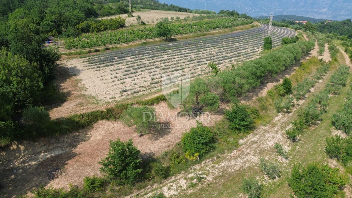 Zemljišče Pićan, 758m2