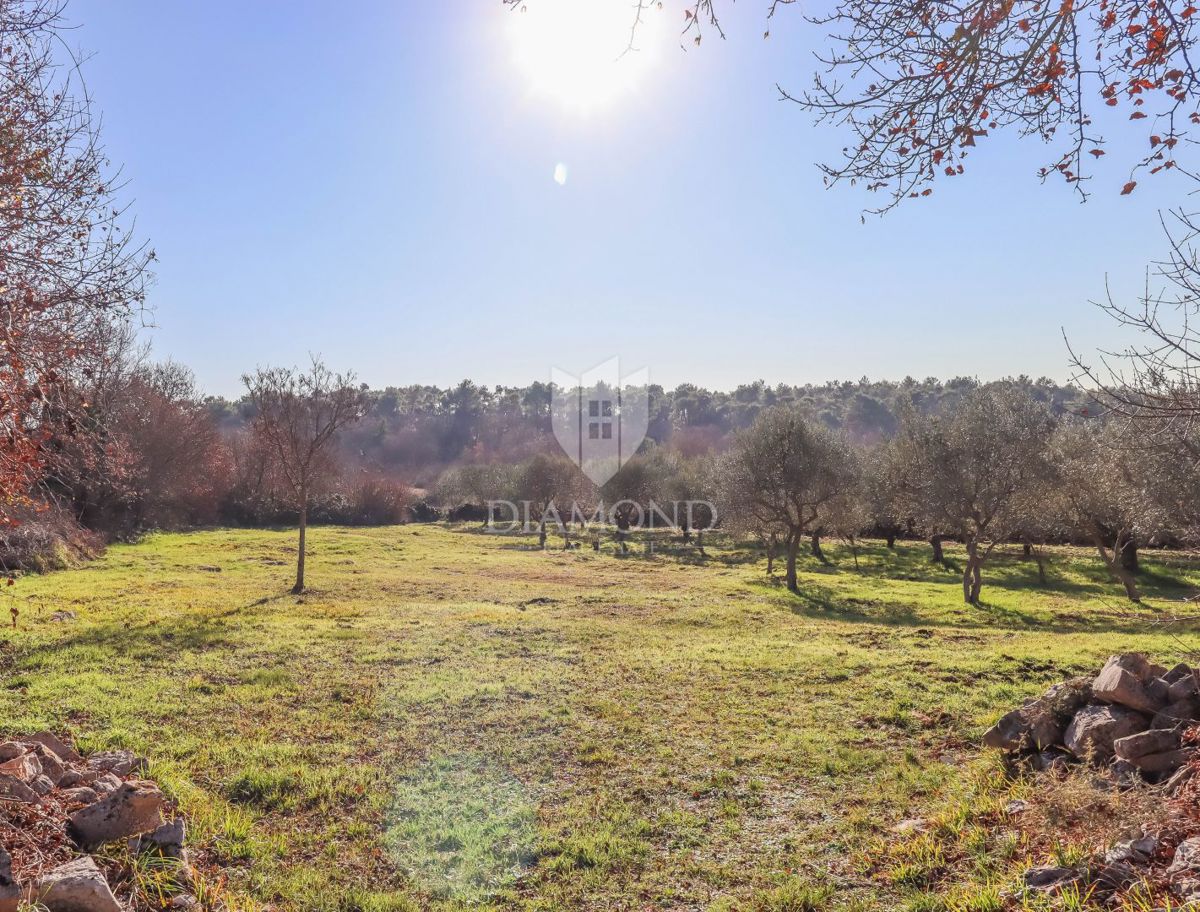 Čudovita parcela v bližini Rovinja