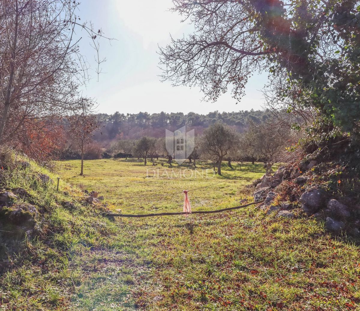 Čudovita parcela v bližini Rovinja