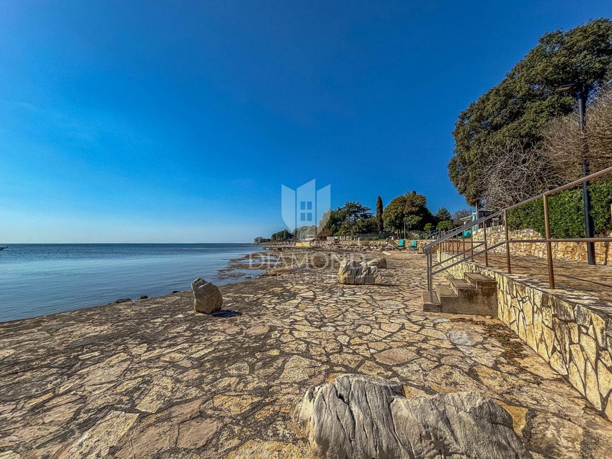 Ekskluzivno! Novigrad, stanovanje v pritličju 100 m od plaže!