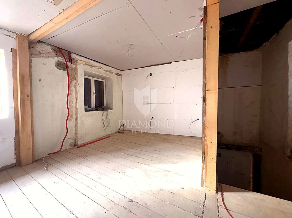 Prostorna staromeščanska hiša z velikim vrtom – izjemna priložnost za prenovo ali nov projekt