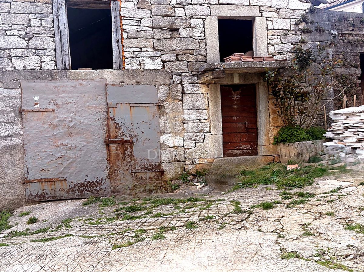 Prostorna staromeščanska hiša z velikim vrtom – izjemna priložnost za prenovo ali nov projekt