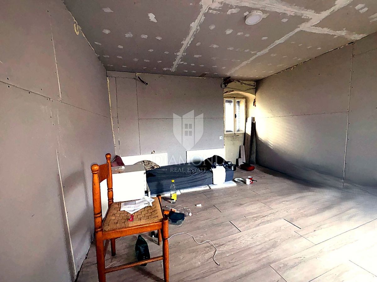 Prostorna staromeščanska hiša z velikim vrtom – izjemna priložnost za prenovo ali nov projekt