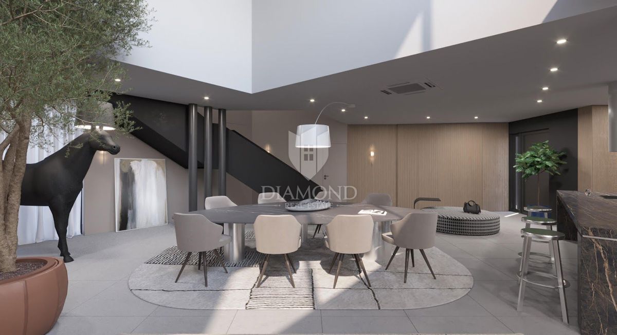 Labin, lepa nova vila z modernim dizajnom