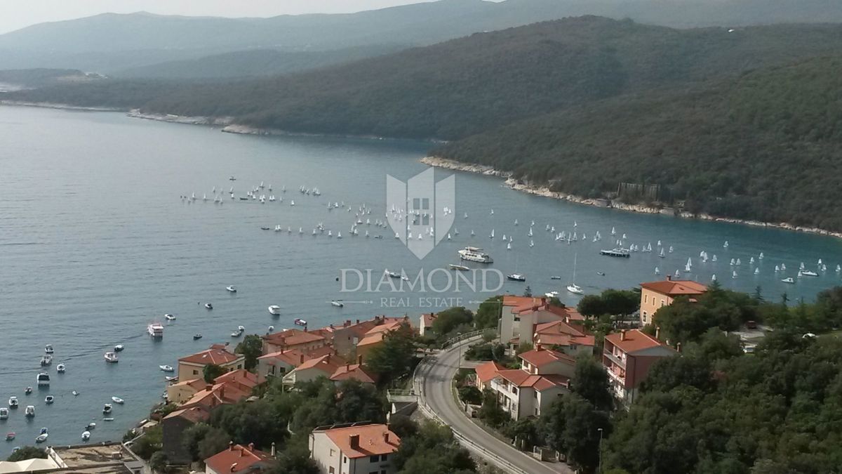 Hiša Labin, 493m2