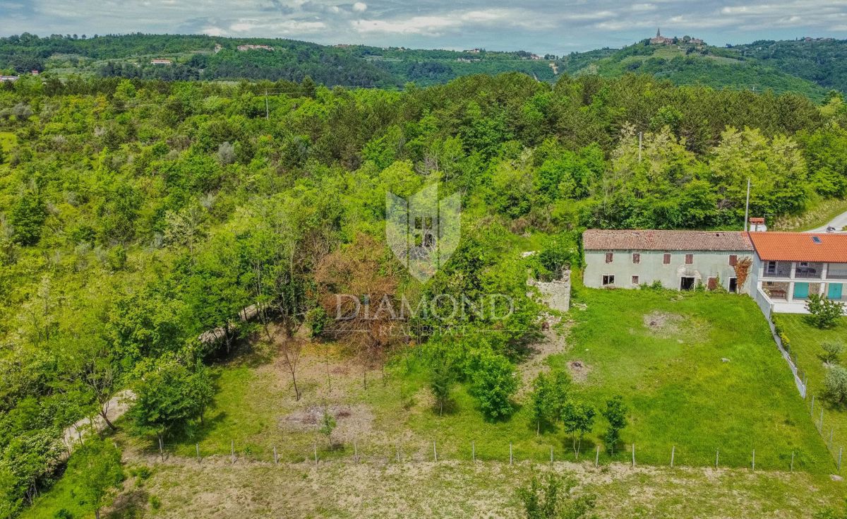 Buje, Okolica Grožnjana, istrska hiša z velikim vrtom!
