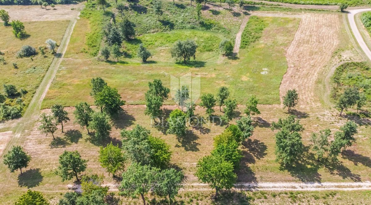 Poreč, okolica, zazidljivo zemljišče za gradnjo hiše!