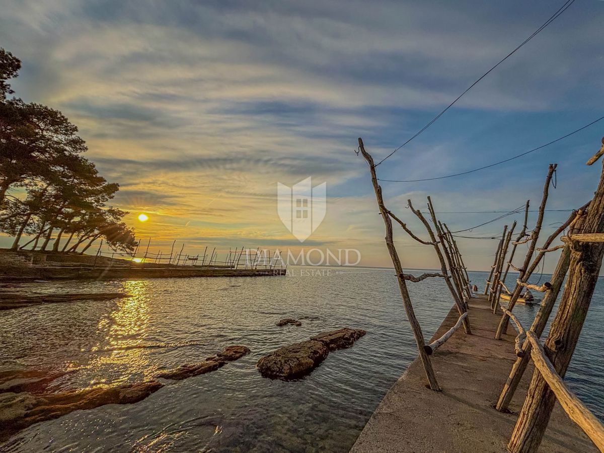 Umag, okolica, novogradnja! Izjemno stanovanje 250 m od morja!