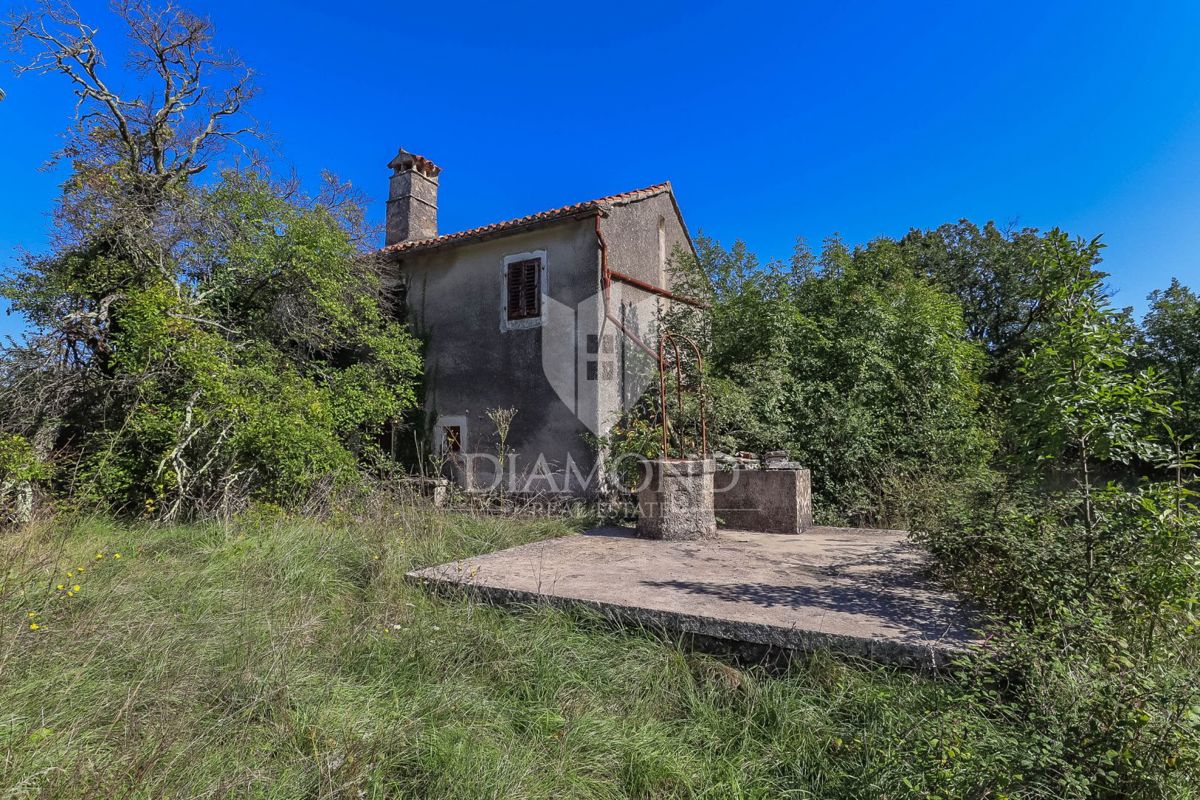 Žminj, okolica, hiša na prostorni parceli na samem