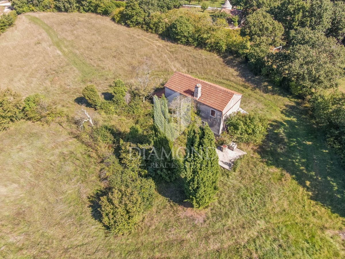 Žminj, okolica, hiša na prostorni parceli na samem
