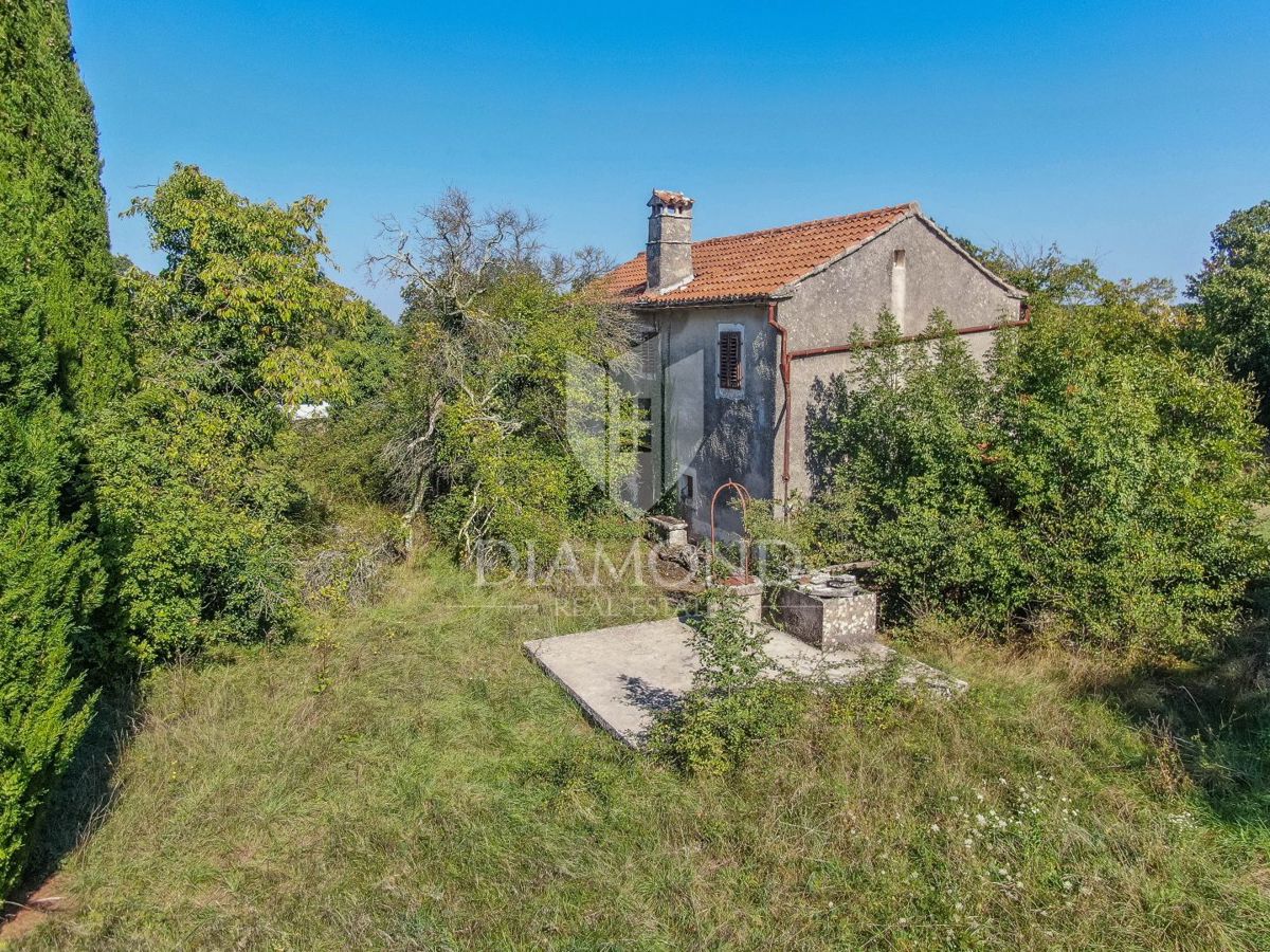 Žminj, okolica, hiša na prostorni parceli na samem