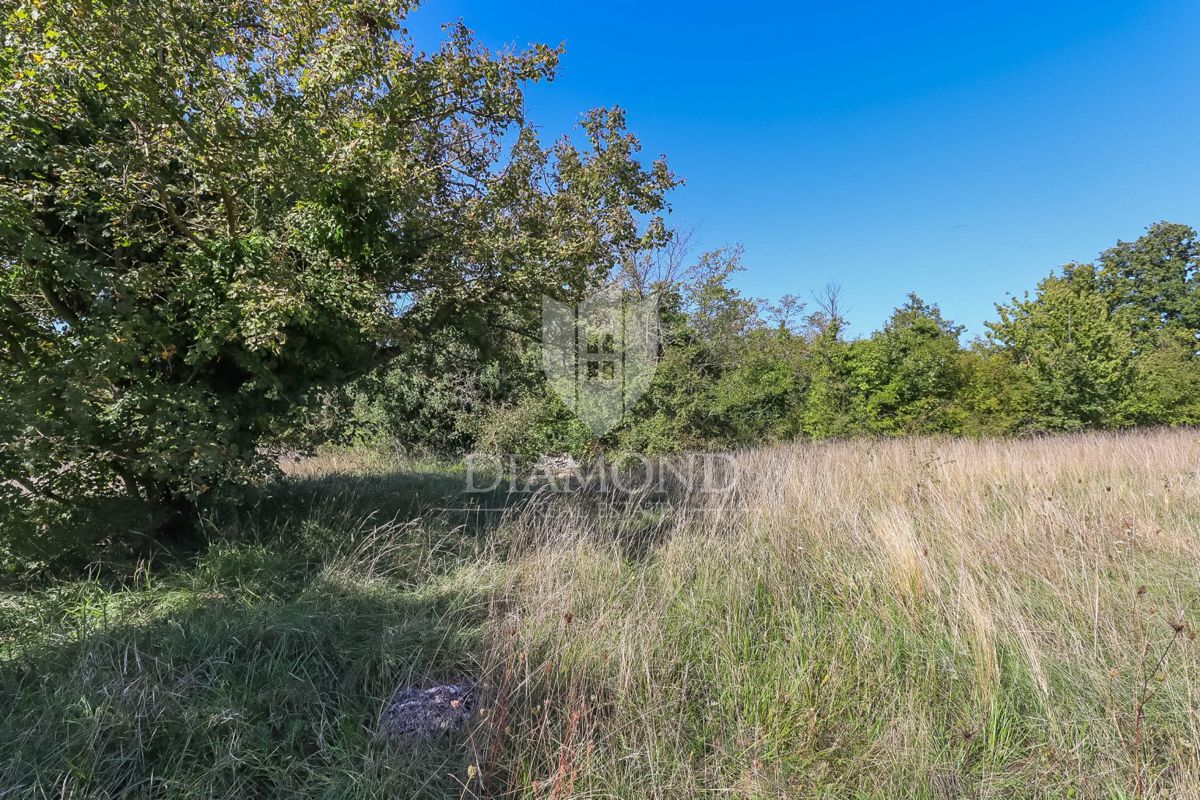 Žminj, okolica, hiša na prostorni parceli na samem