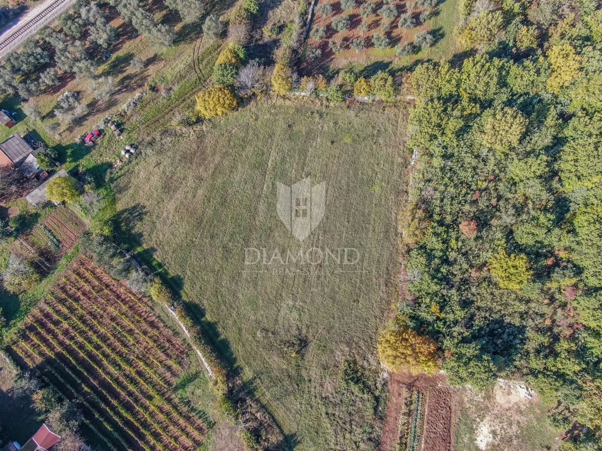 Zemljišče Svetvinčenat, 2.186m2