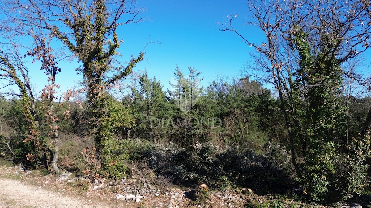 Marčana, atraktivno zemljišče s pogledom na morje 