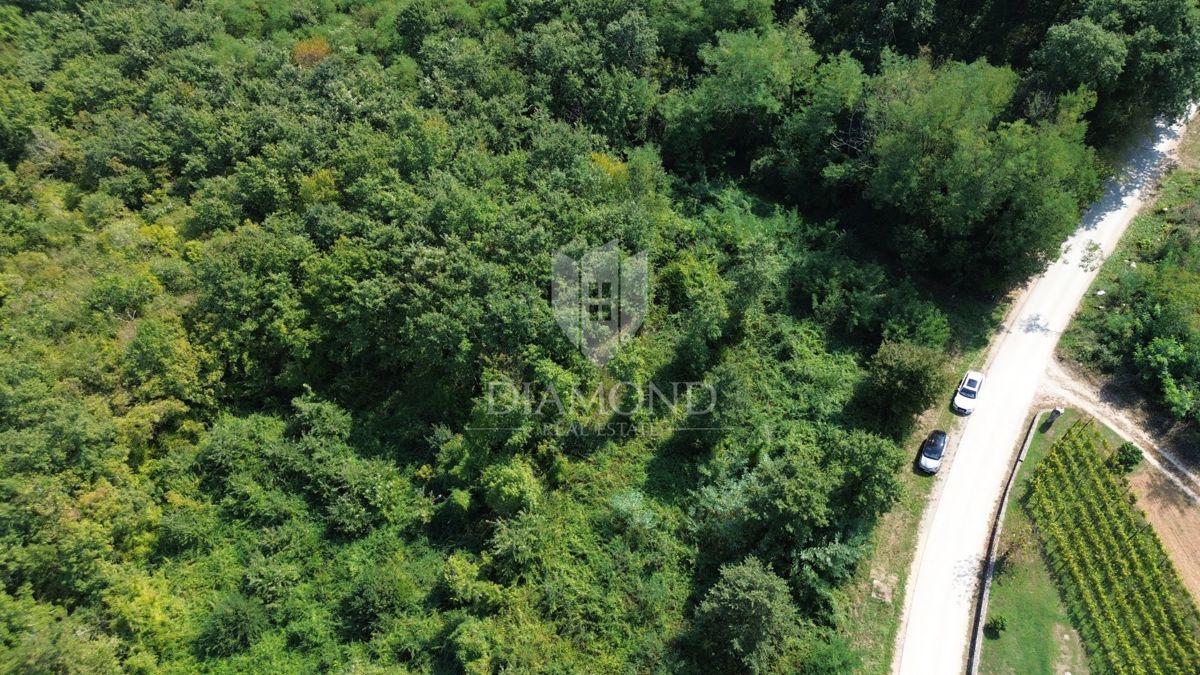 Zemljišče Pićan, 2.145m2