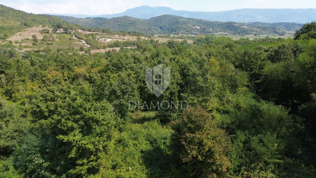 Zemljišče Pićan, 2.145m2