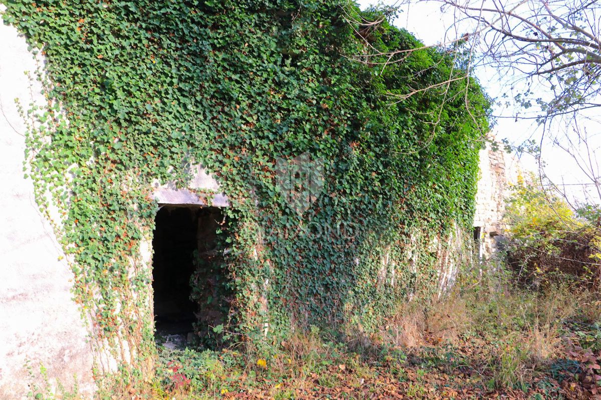Pican, okolica. hiše na prostranem posestvu 