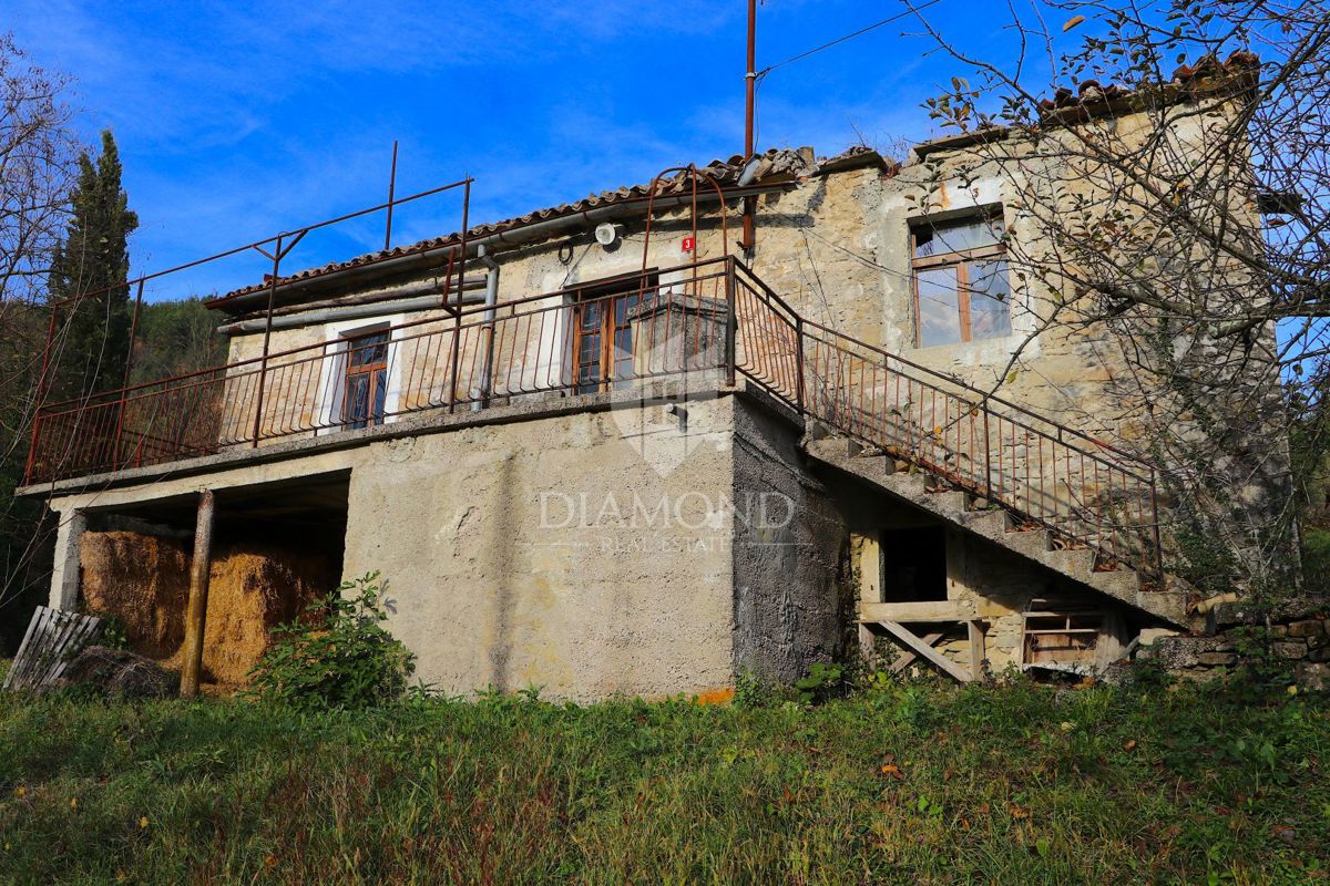 Pican, okolica. hiše na prostranem posestvu 