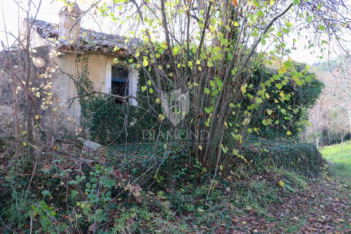 Pican, okolica. hiše na prostranem posestvu 