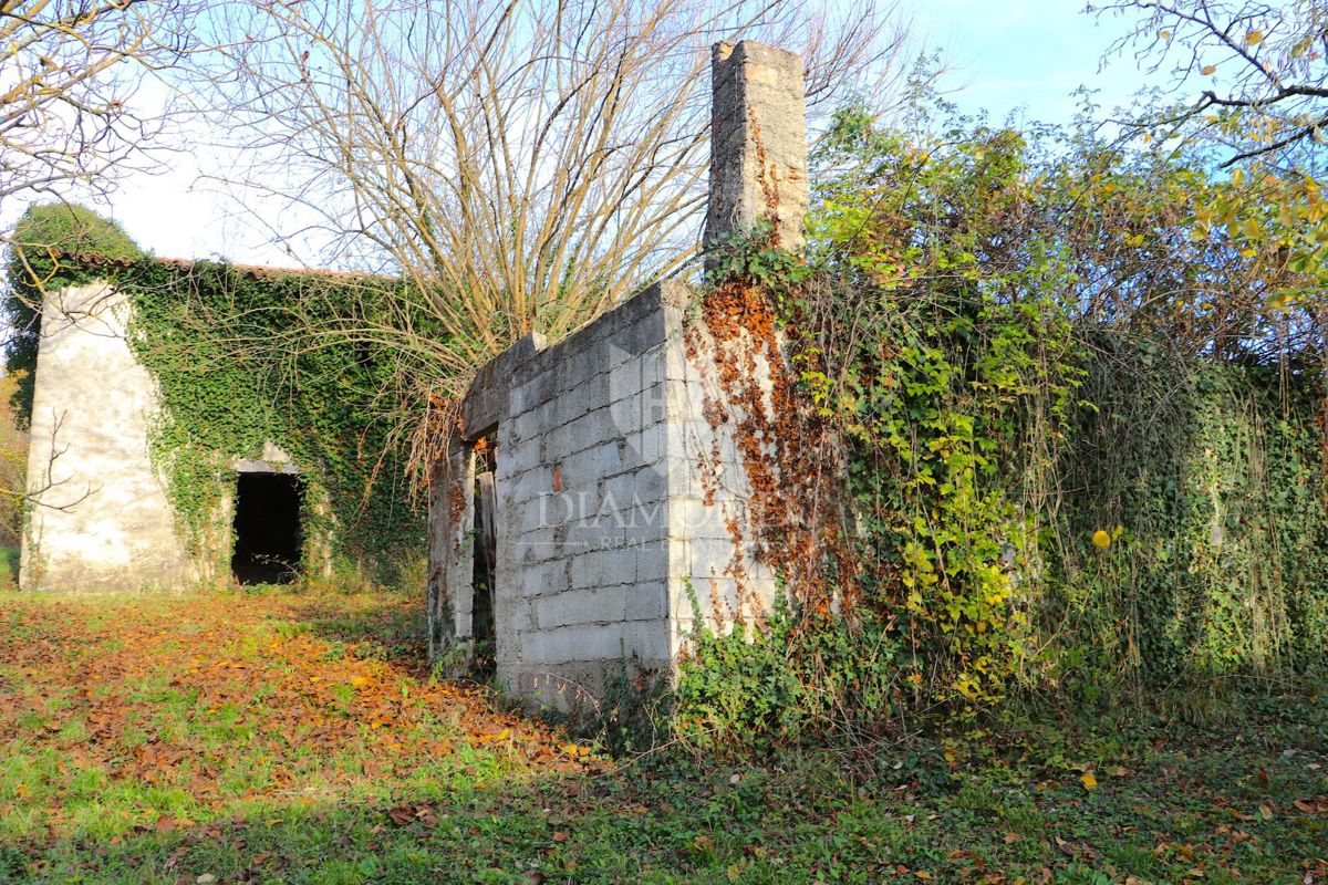 Pican, okolica. hiše na prostranem posestvu 