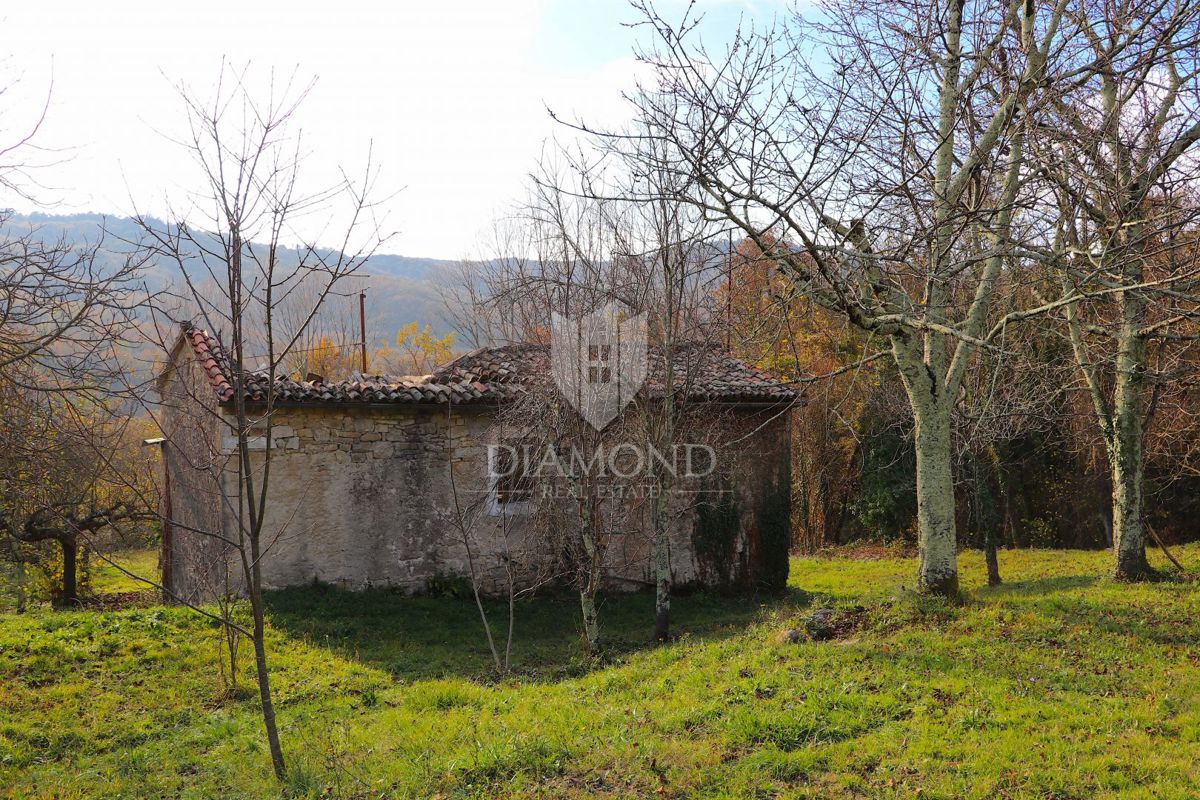 Pican, okolica. hiše na prostranem posestvu 