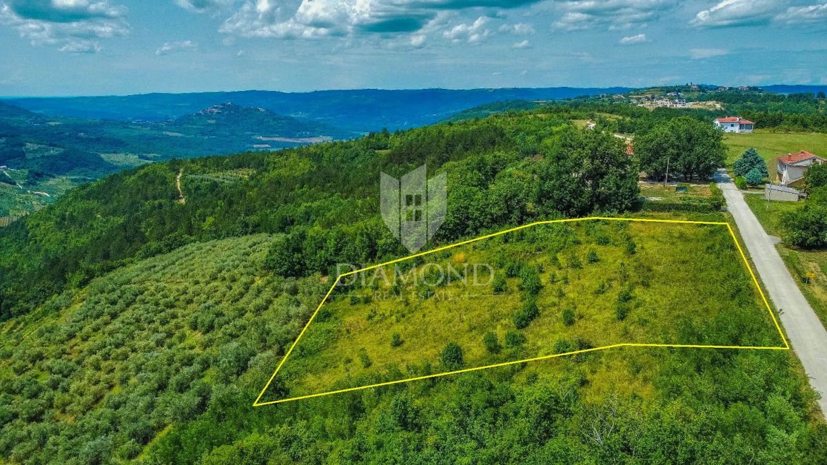 Priložnost! Motovun, zemljišče 5800 m2 s panoramskim pogledom na zelenico!