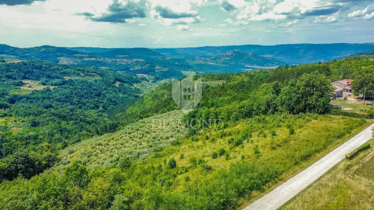 Priložnost! Motovun, zemljišče 5800 m2 s panoramskim pogledom na zelenico!