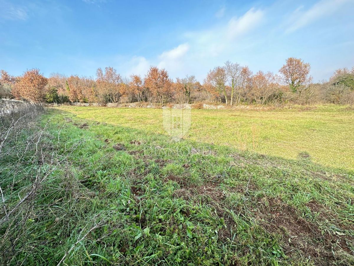 Istra, veliko gradbeno zemljišče 3 km od morja