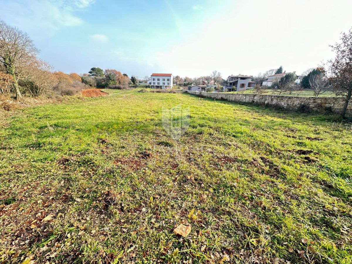 Istra, veliko gradbeno zemljišče 3 km od morja