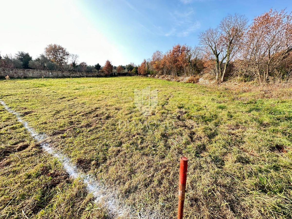 Istra, veliko gradbeno zemljišče 3 km od morja