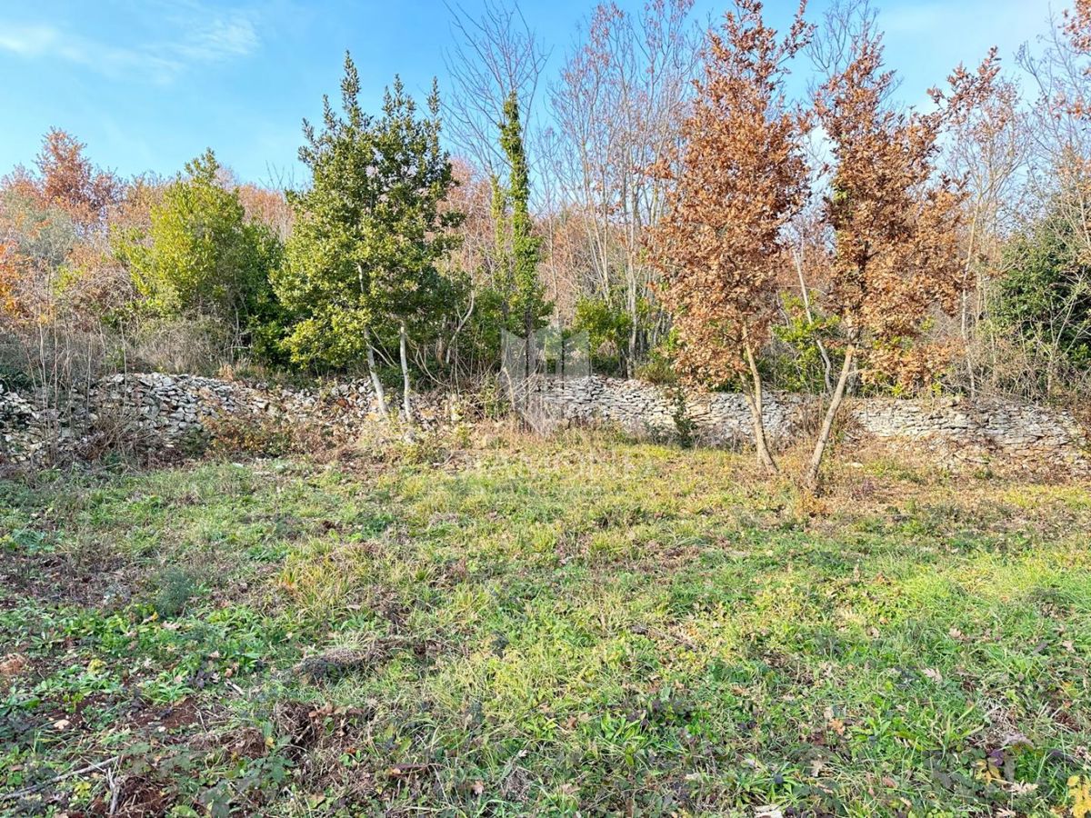 Istra, veliko gradbeno zemljišče 3 km od morja