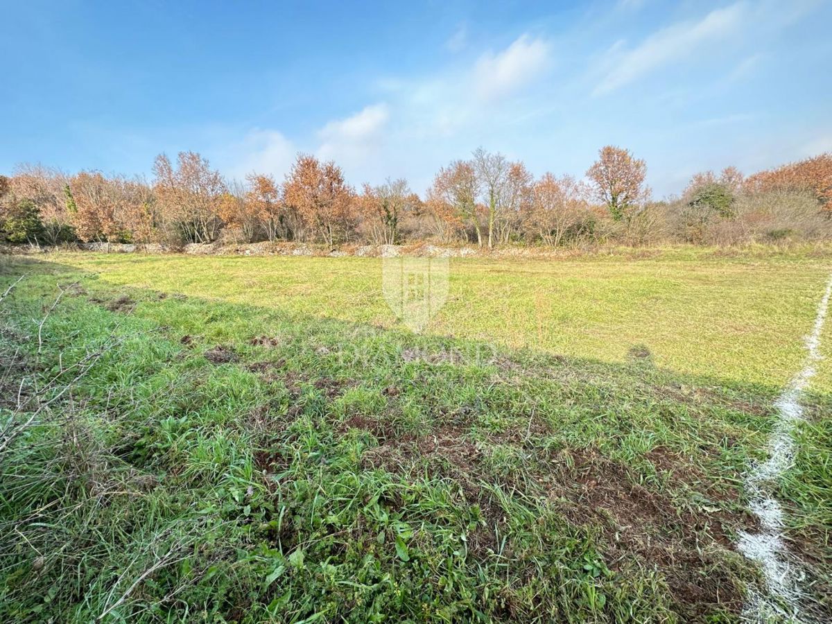 Istra, veliko gradbeno zemljišče 3 km od morja