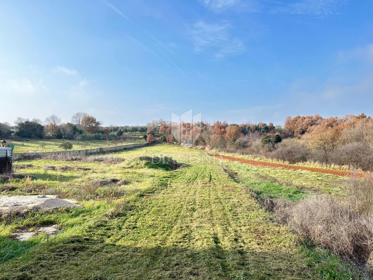 Istra, veliko gradbeno zemljišče 3 km od morja
