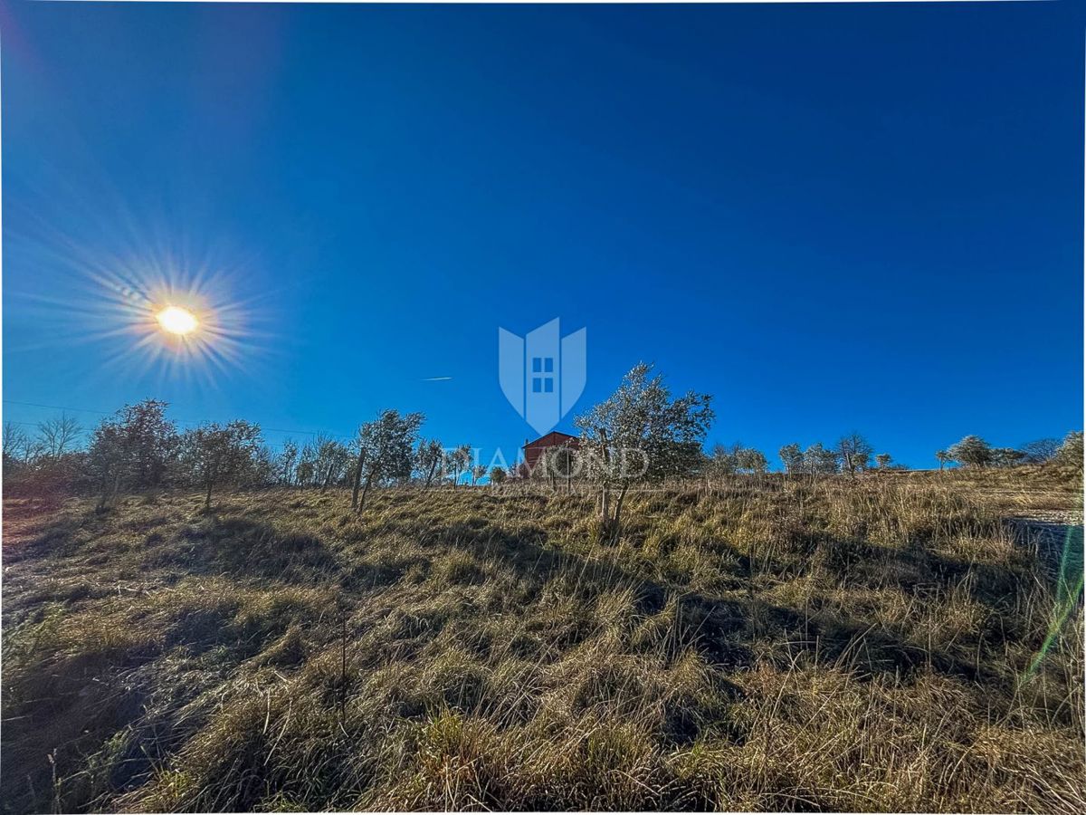 Istra, Buje, okolica, zemljišče na zaželjeni lokaciji!