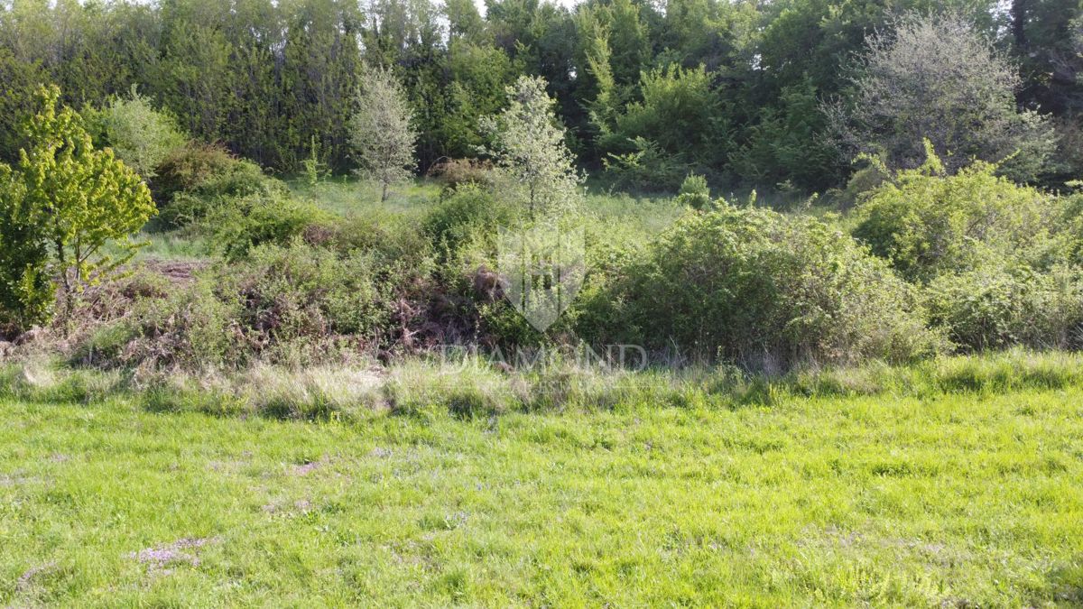 Poreč – Okolica – Idealna Parcela na Privlačni Lokaciji