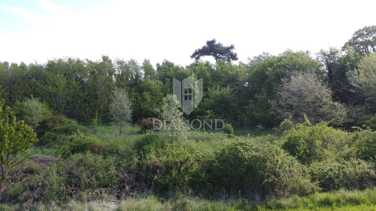 Poreč – Okolica – Idealna Parcela na Privlačni Lokaciji