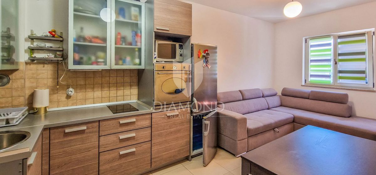 Apartmaj Novigrad, 46m2