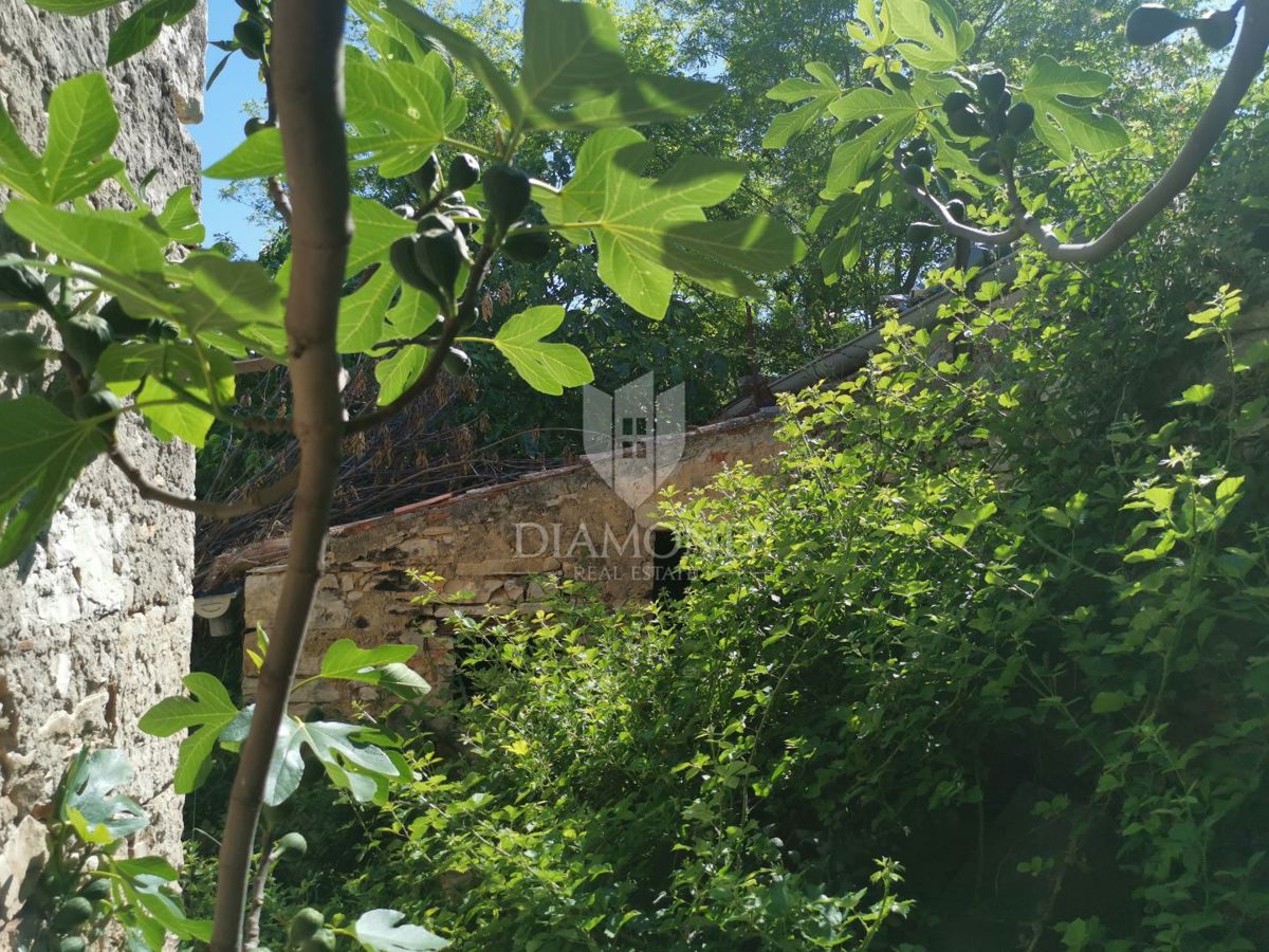 Vodnjan, center, hiša za prenovo z dvoriščem