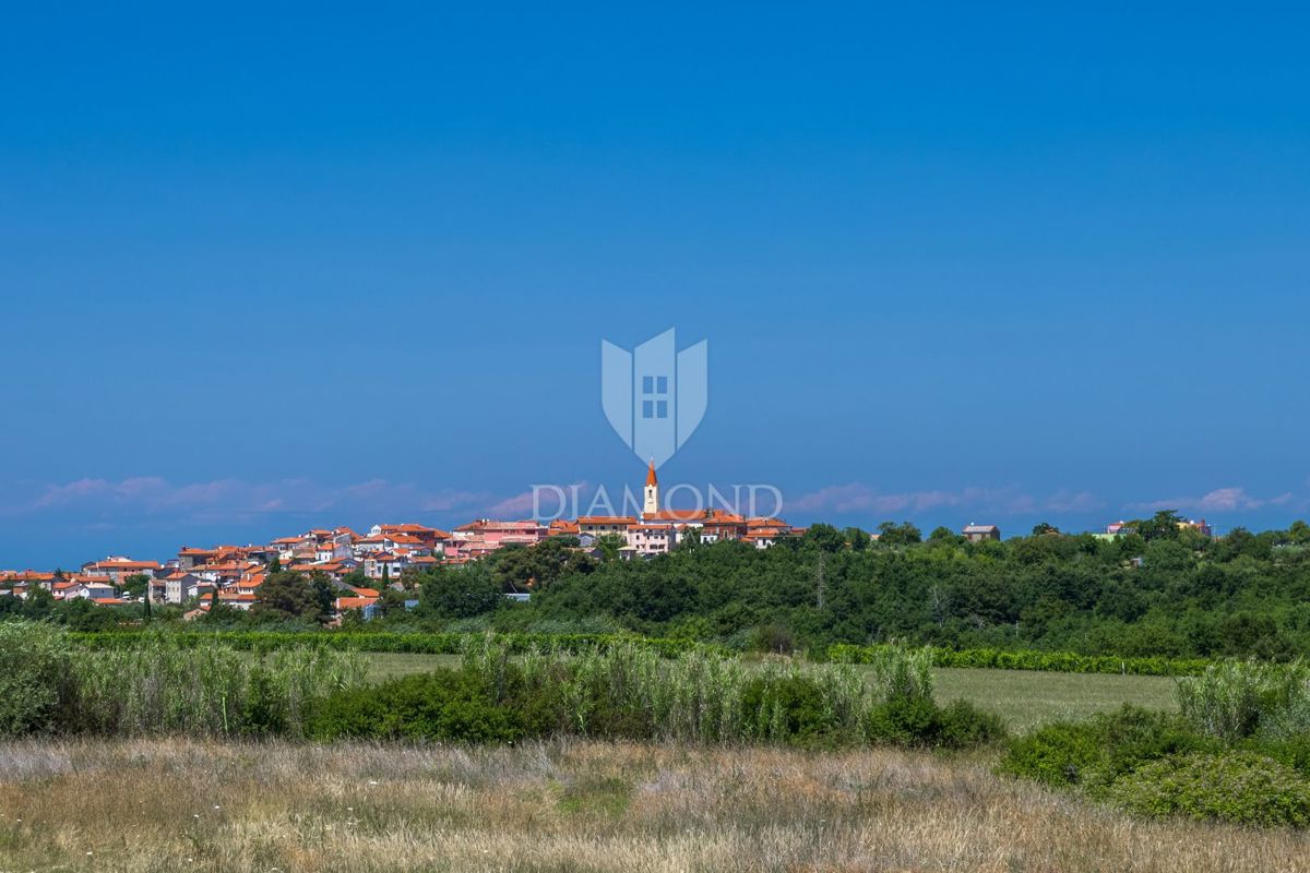 Brtonigla, čudovita vila z bazenom na vrhu hriba