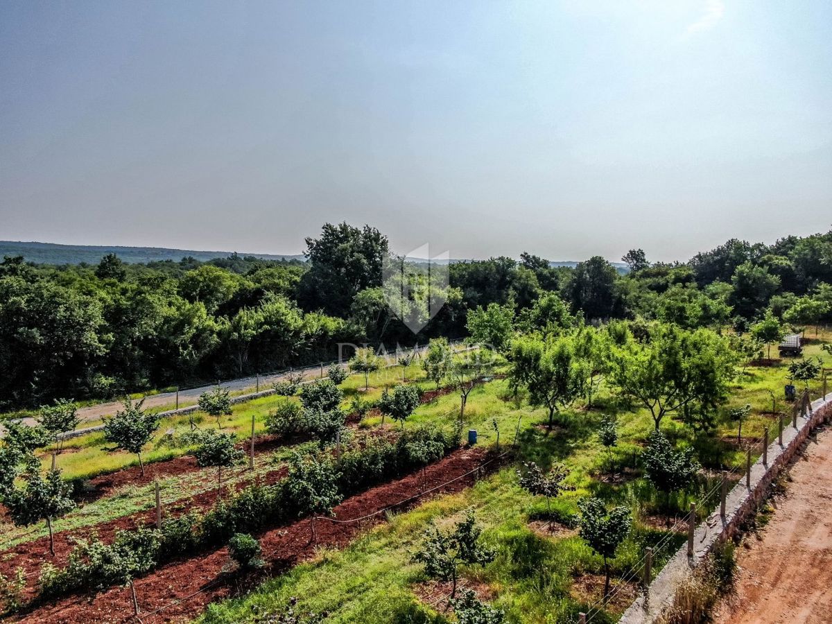 Rovinj, okolica, nova hiša z bazenom in pogledom na naravo