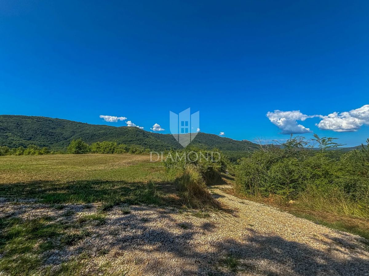 Motovun, okolica, edino gradbeno zemljišče na mirni lokaciji!