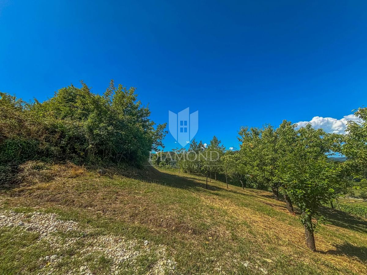 Motovun, okolica, edino gradbeno zemljišče na mirni lokaciji!
