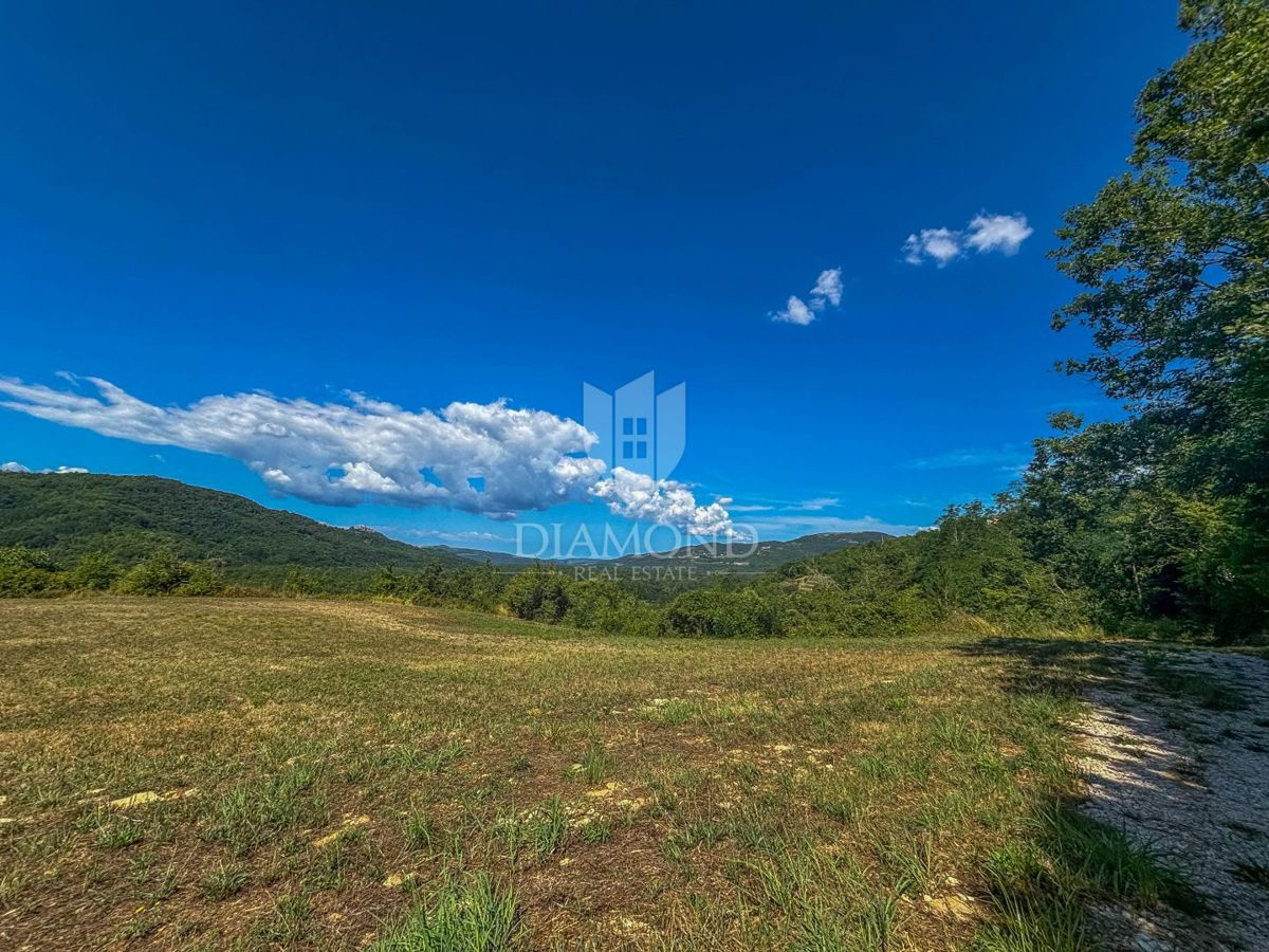 Motovun, okolica, edino gradbeno zemljišče na mirni lokaciji!