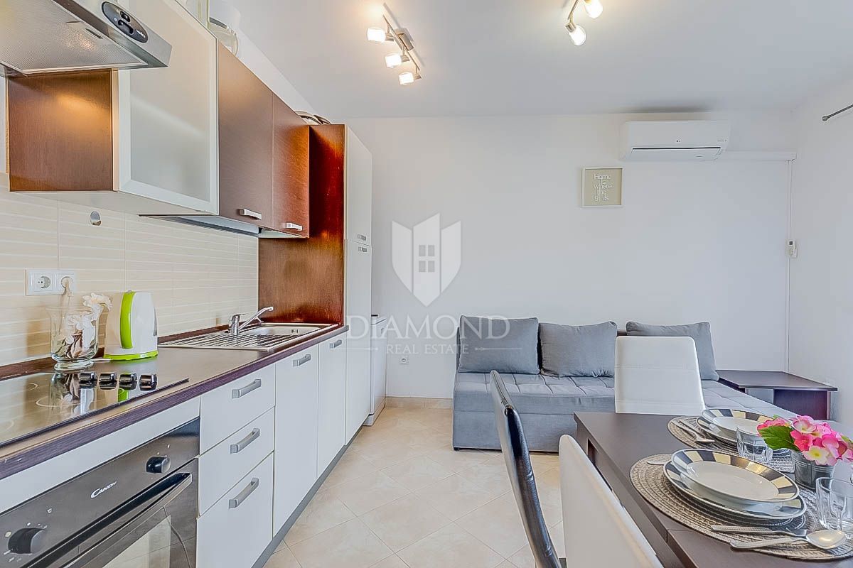 Novigrad, dva apartmaja 300m od morja!