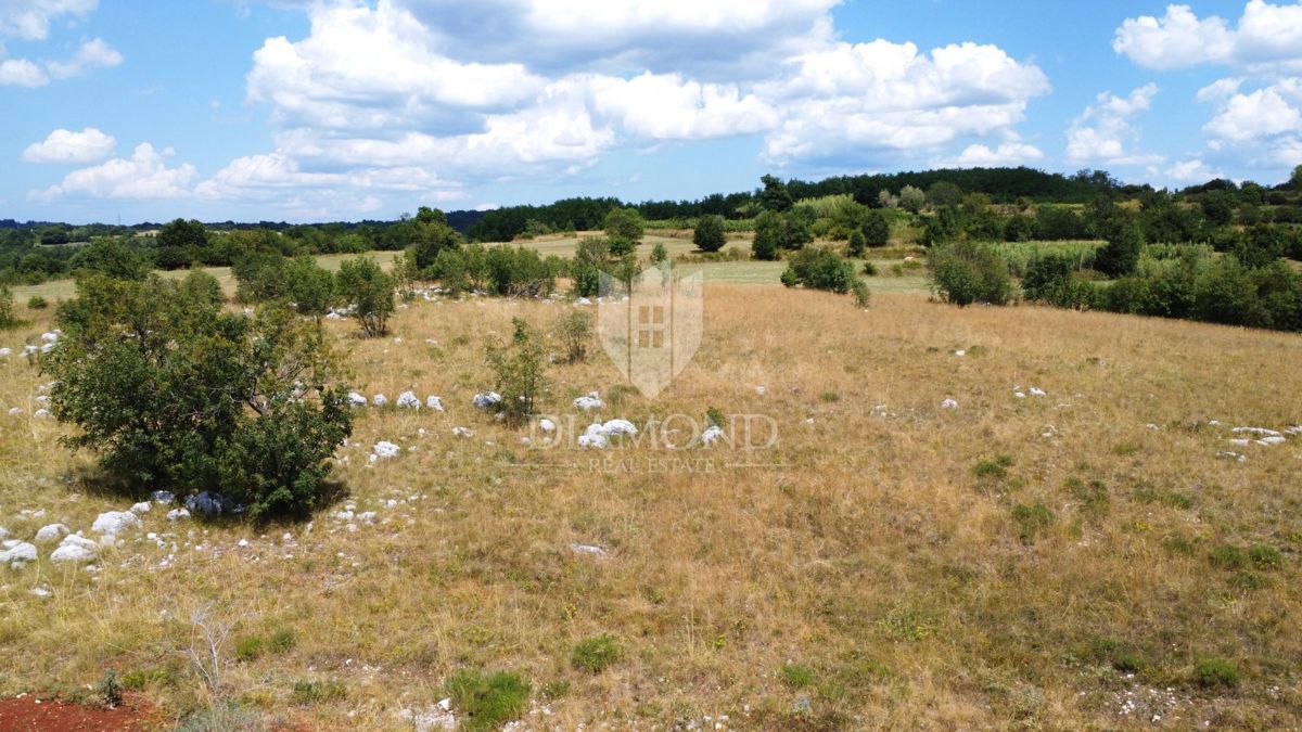 Istra, Oprtalj okolica – zemljišče 9.181 m² z razgledom